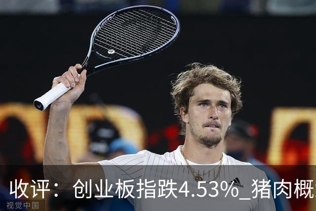 收评：创业板指跌4.53% 猪肉概念等逆市上涨